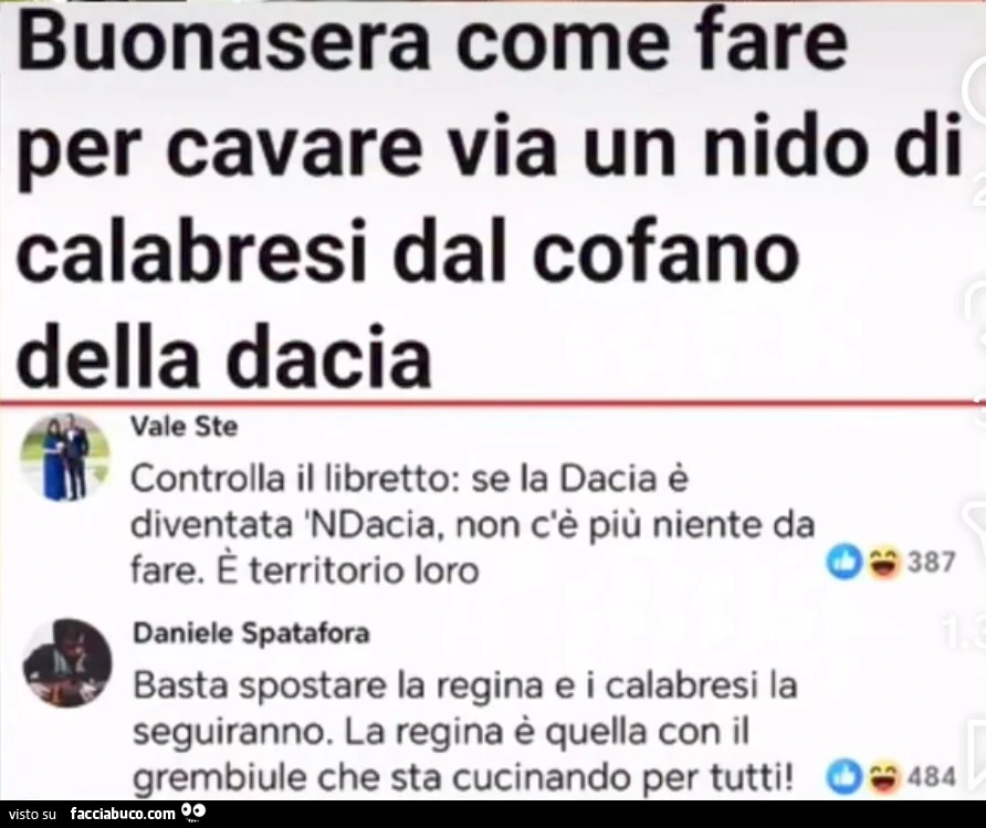 Vaccata