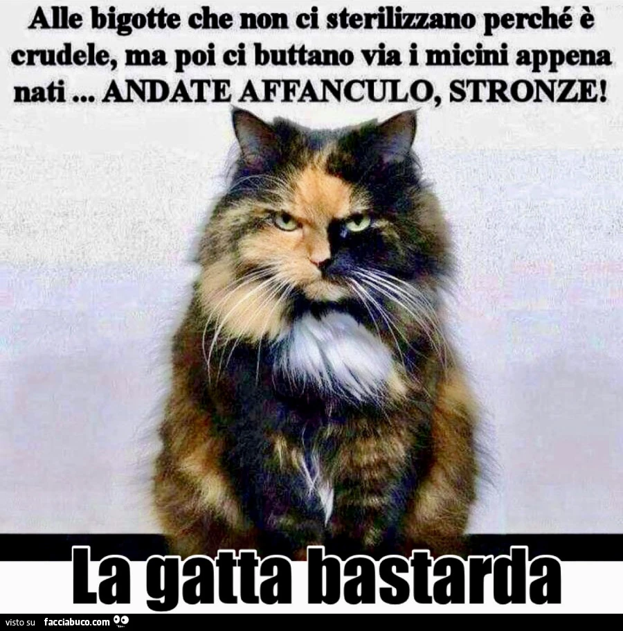 Vaccata