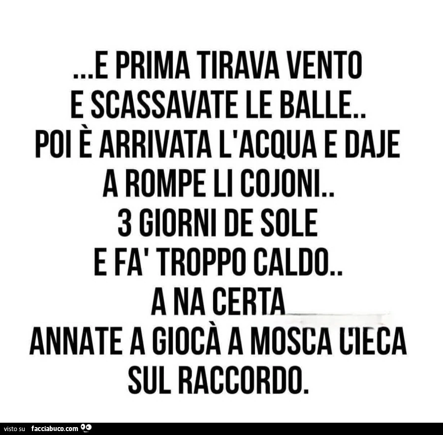Mosca cieca