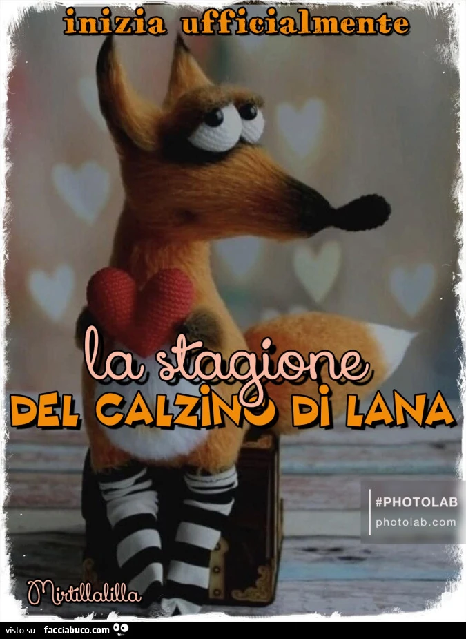 Calzino di lana