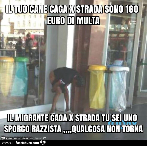 Il tuo cane caga x strada sono 160 euro di multa il migrante caga x strada tu sei uno sporco razzista, qualcosa non torna