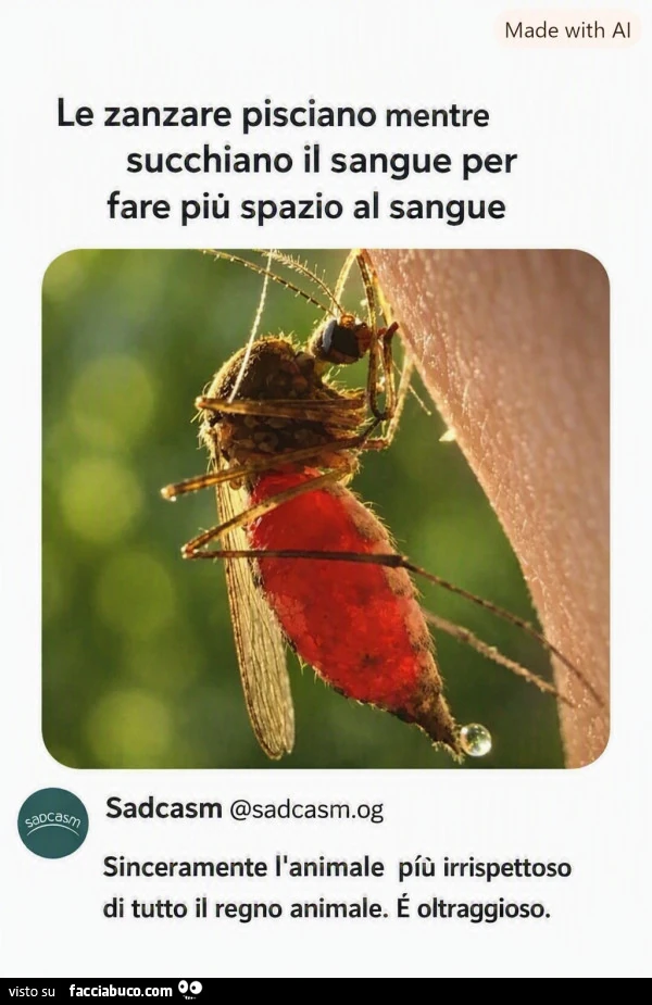 Vaccata