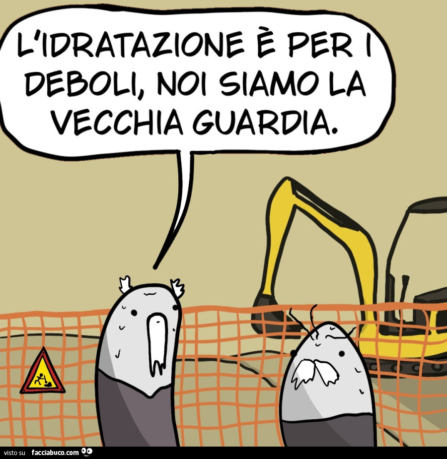 Vaccata