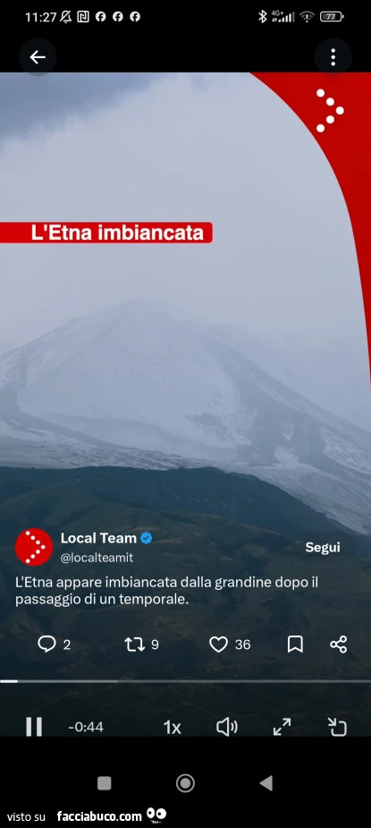 Vaccata
