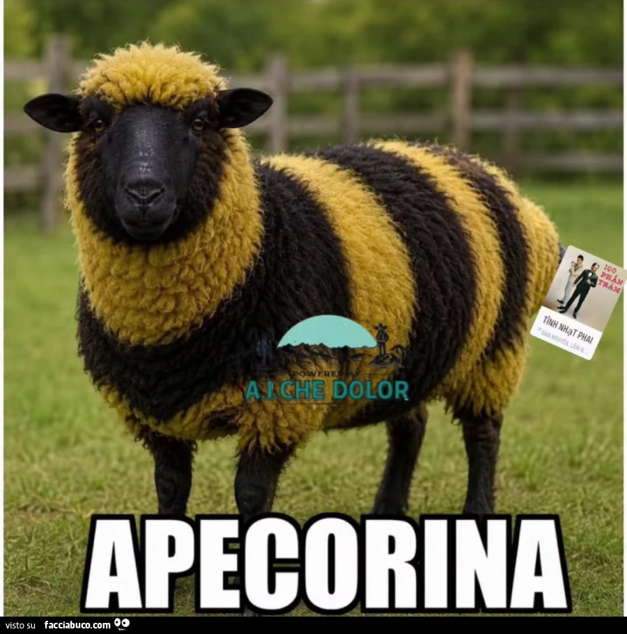 Vaccata