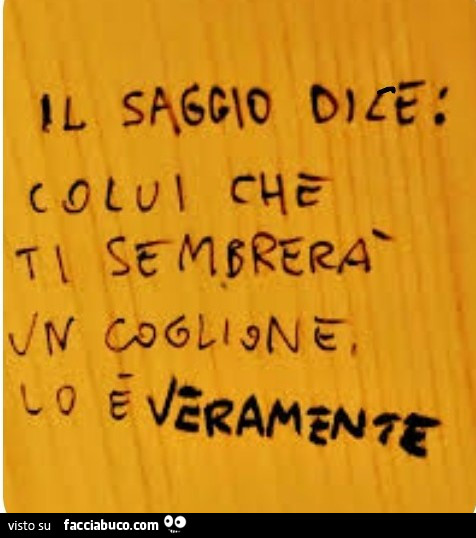 Il saggio