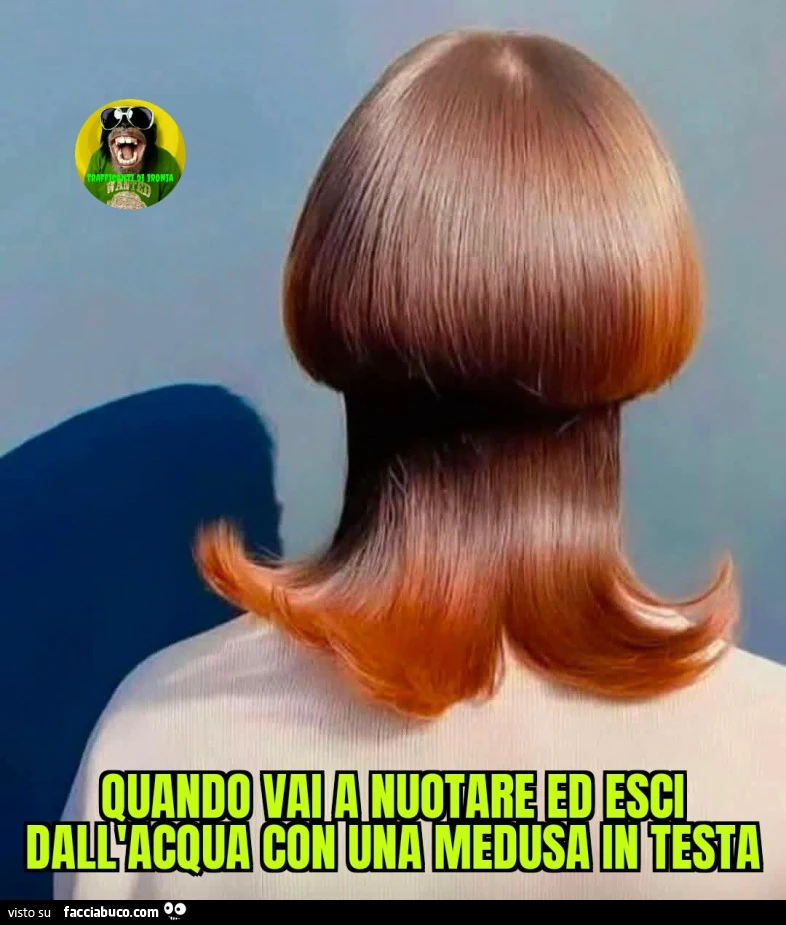 Quando vai a nuotare ed esci dall'acqua con una medusa in testa