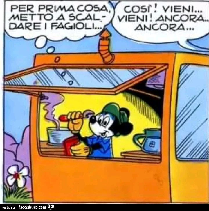 Vaccata