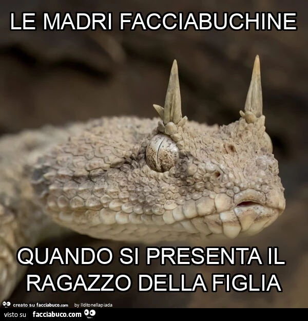 Le madri facciabuchine quando si presenta il ragazzo della figlia