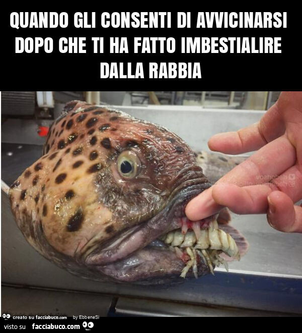 Quando gli consenti di avvicinarsi dopo che ti ha fatto imbestialire dalla rabbia