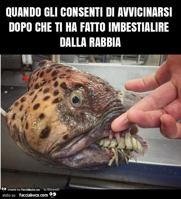 Quando gli consenti di avvicinarsi dopo che ti ha fatto imbestialire dalla rabbia