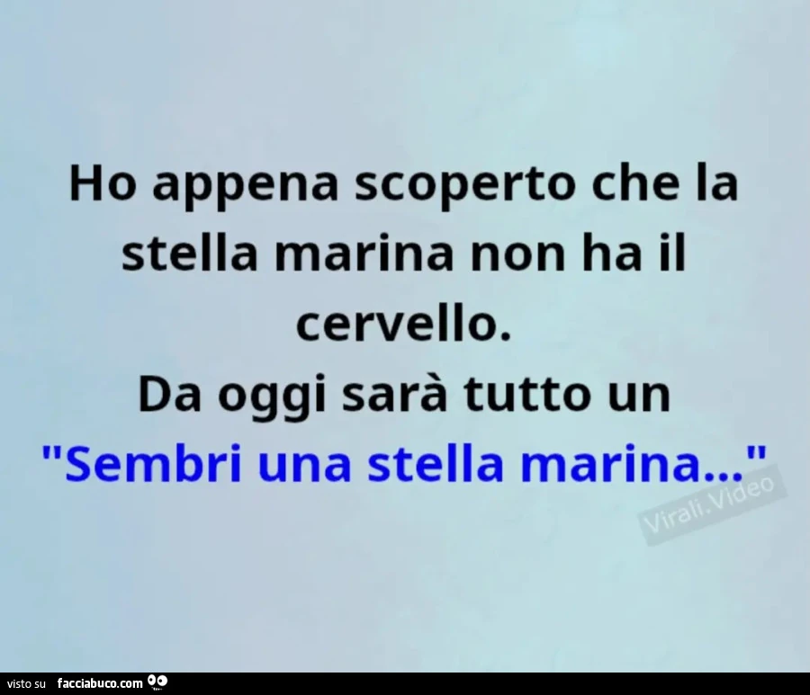 Cervello
