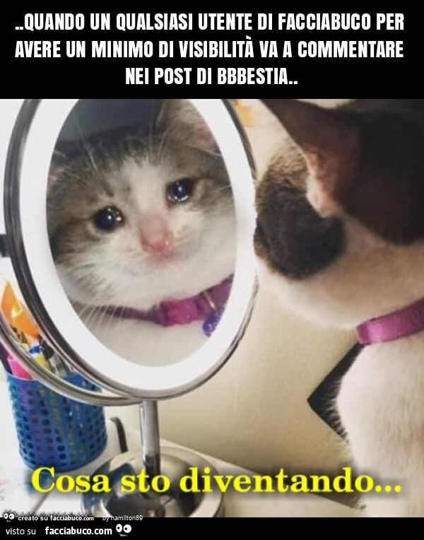 Quando un qualsiasi utente di facciabuco per avere un minimo di visibilità va a commentare nei post di bbbestia