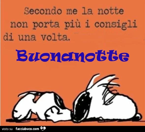 Secondo me la notte non porta più i consigli di una volta. Buonanotte