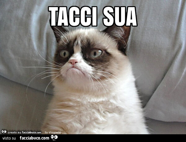 Vaccata