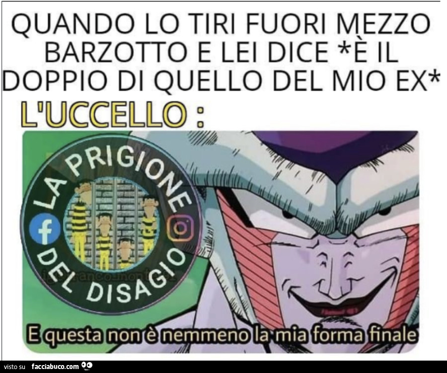 Vaccata
