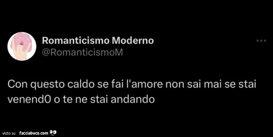 Con questo caldo se fai l'amore non sai mai se stai venendo o te ne stai andando