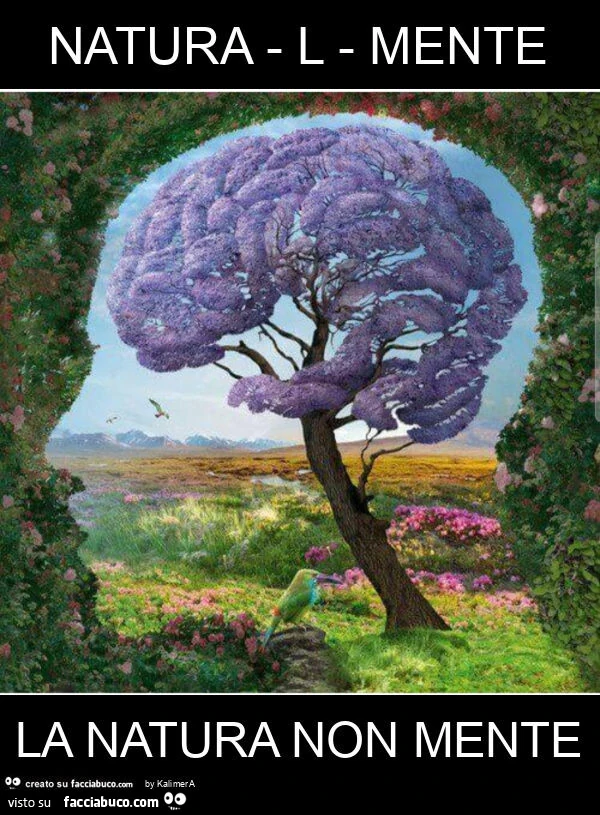 Natura - L - Mente&hellip; la Natura non Mente. Mai