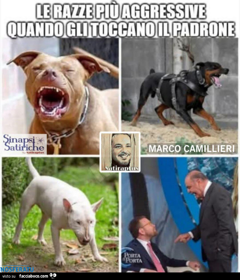 Quando ti toccano il padrone