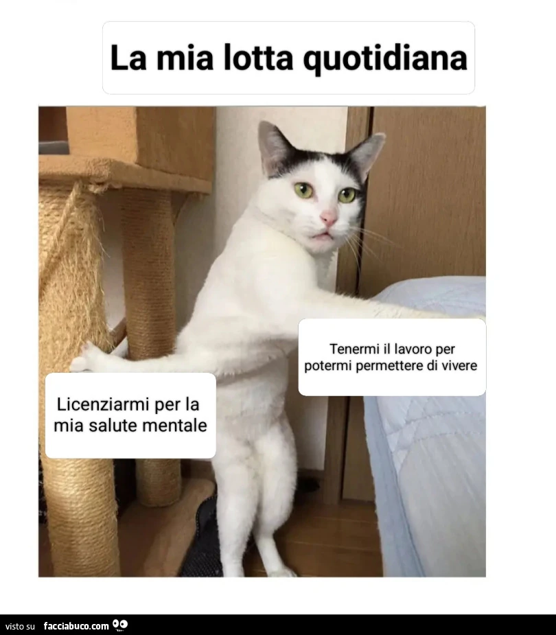 Vaccata