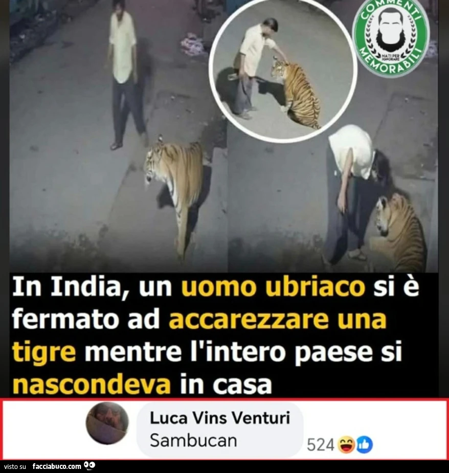 Vaccata