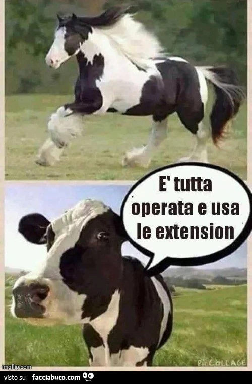 Vaccata