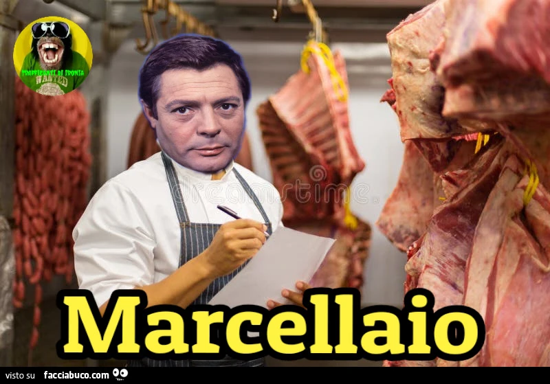 Marcellaio