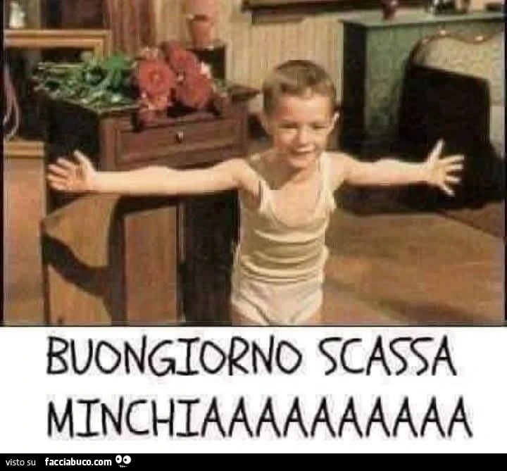Vaccata