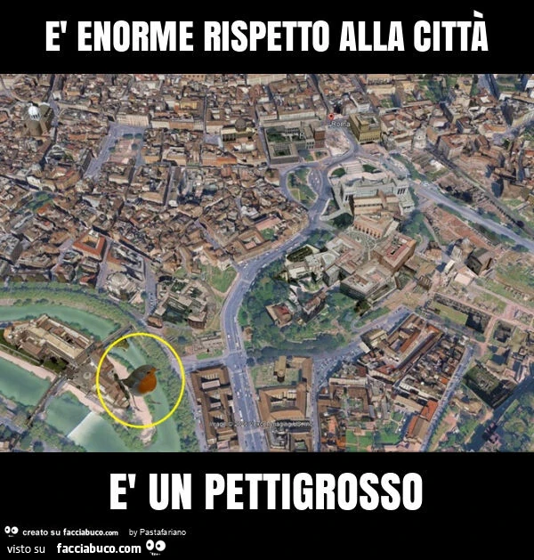 È enorme rispetto alla città: è un petti-grosso