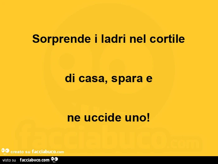 Sorprende i ladri nel cortile di casa, spara e ne uccide uno