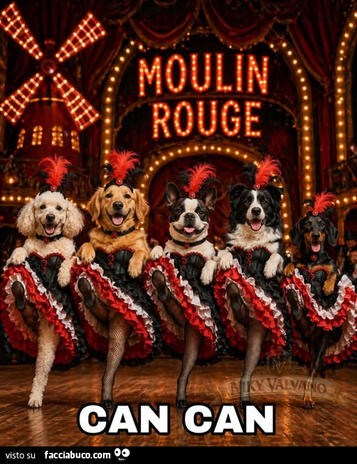 Moulin Rouge Can Can