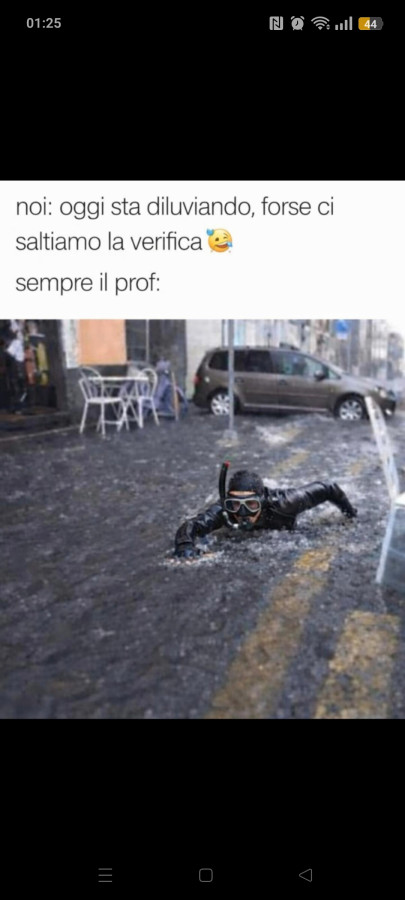Vaccata