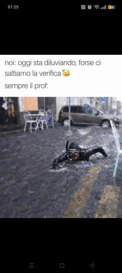 Vaccata