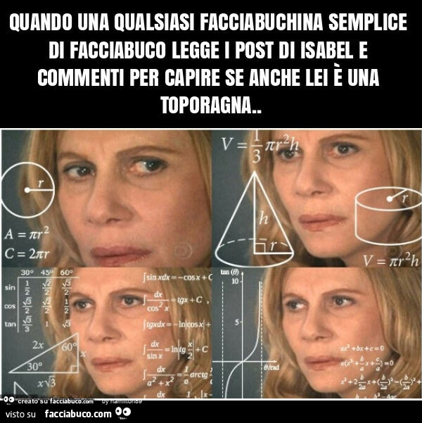 Quando una qualsiasi facciabuchina semplice di facciabuco legge i post di isabel e commenti per capire se anche lei è una toporagna