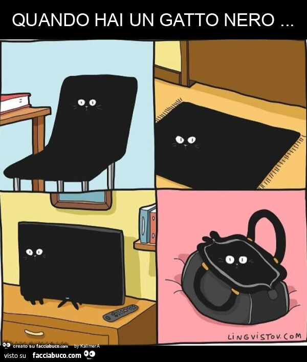 Quando hai un gatto nero