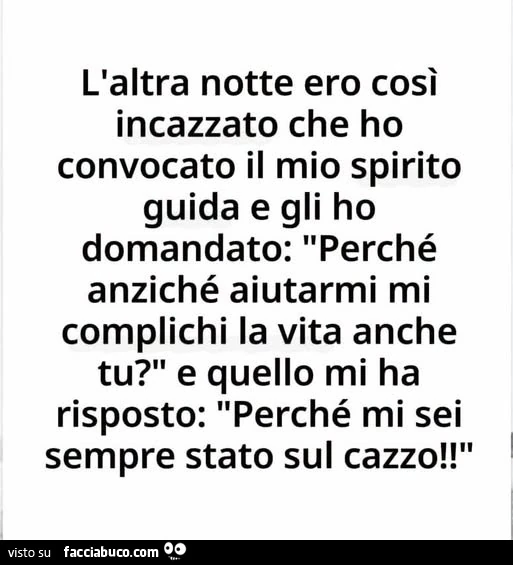 L'altra notte ero così incazzato che ho convocato il mio spirito guida e gli ho domandato: perché anziché aiutarmi mi complichi la vita anche tu? E quello mi ha risposto: perché mi sei sempre stato sul cazzo