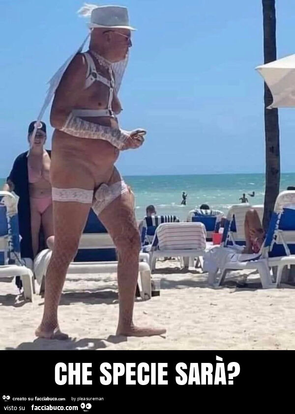 Che specie sarà?