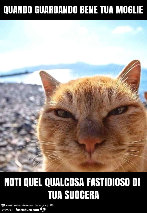Quando guardando bene tua moglie noti quel qualcosa fastidioso di tua suocera