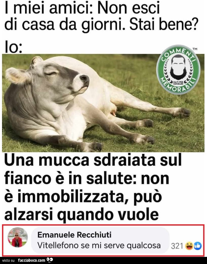Vaccata
