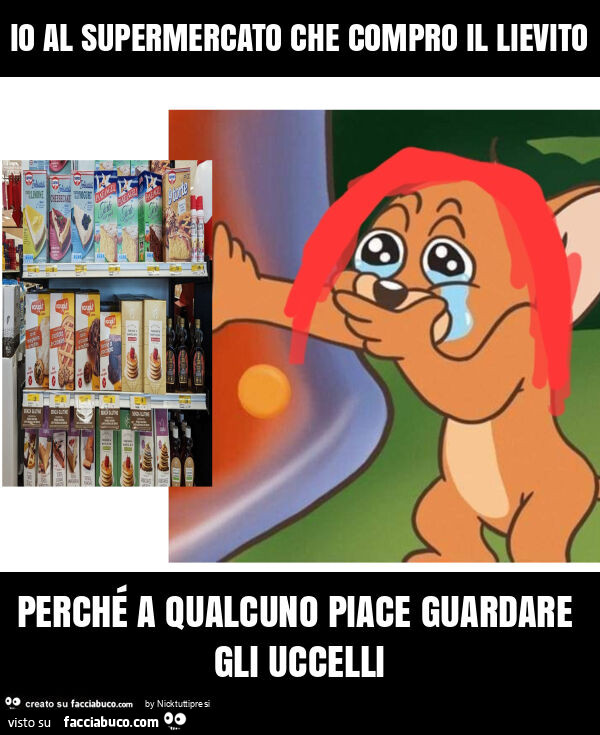 Io al supermercato che compro il lievito perché a qualcuno piace guardare gli uccelli