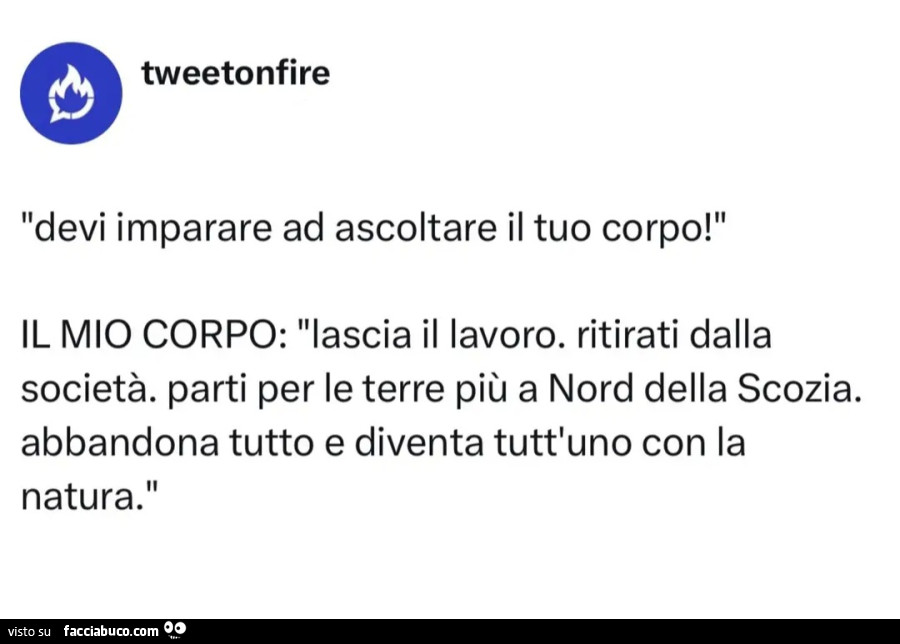 Devi imparare ad ascoltare il tuo corpo! " IL MIO CORPO: "lascia il lavoro. Ritirati dalla società. Parti per le terre più a Nord della Scozia. Abbandona tutto e diventa tutt'uno con la natura