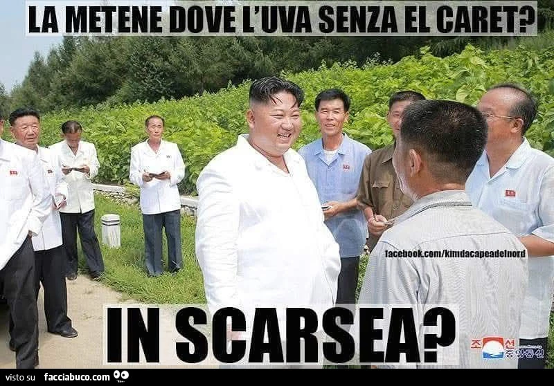Vaccata