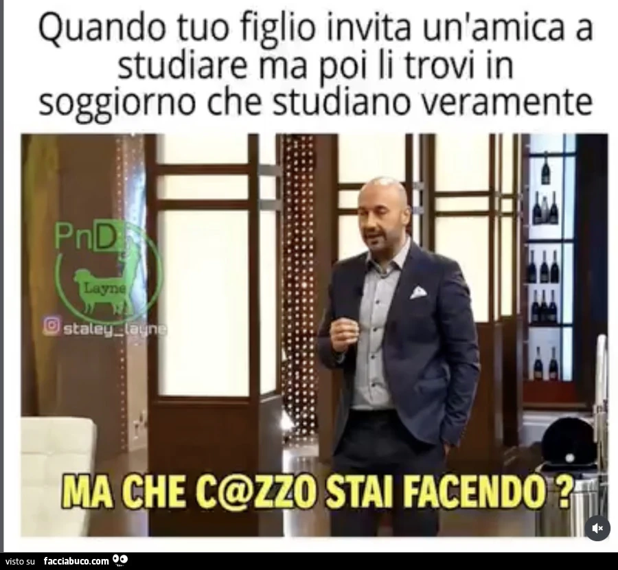 Vaccata
