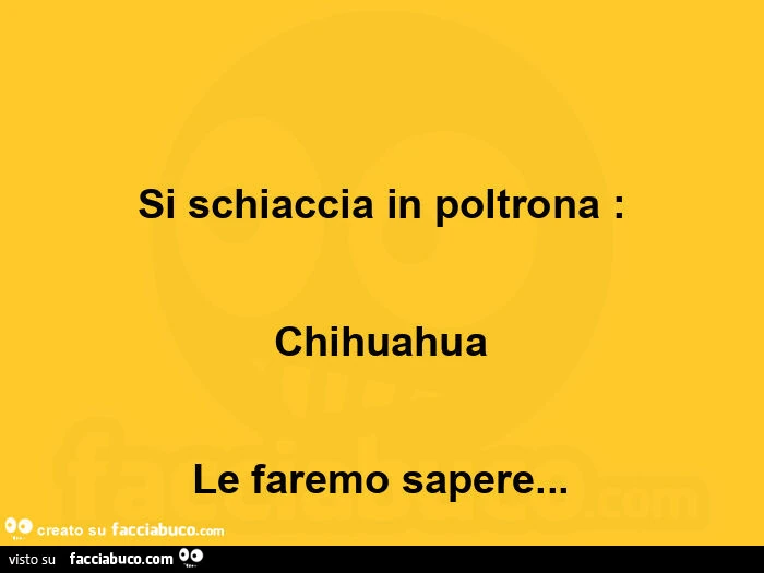 Si schiaccia in poltrona: chihuahua le faremo sapere