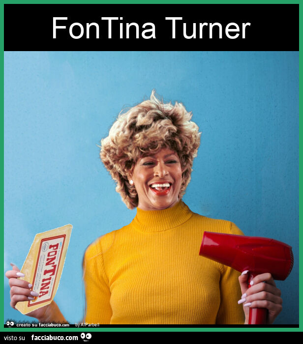 Fontina turner