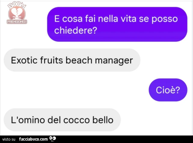 E cosa fai nella vita se posso chiedere? Exotic fruits beach manager. Cioè? L'omino del cocco bello