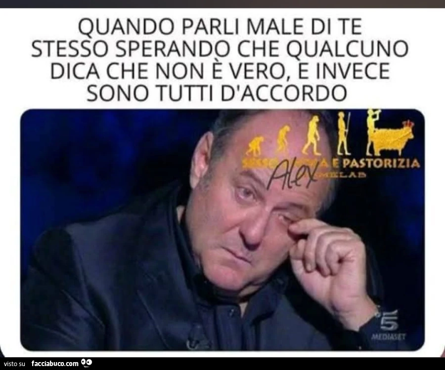 Auto ironia