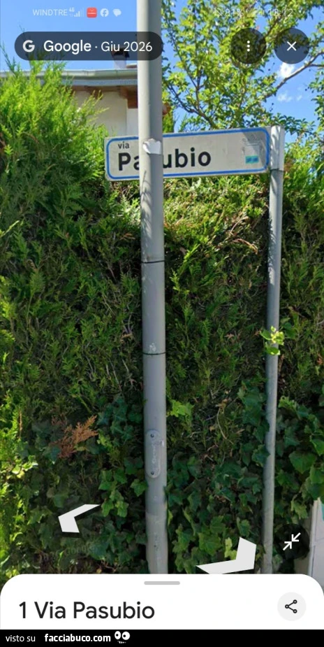 Vaccata