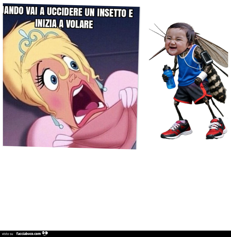 Vaccata