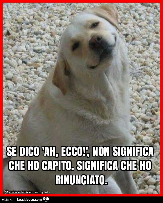 Se dico 'ah, ecco! ', Non significa che ho capito. Significa che ho rinunciato